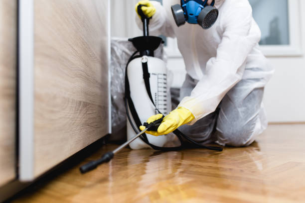 Reliable Vinton, LA Pest Control Solutions