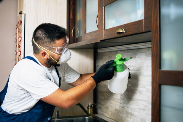 Best Insect Control  in Vinton, LA