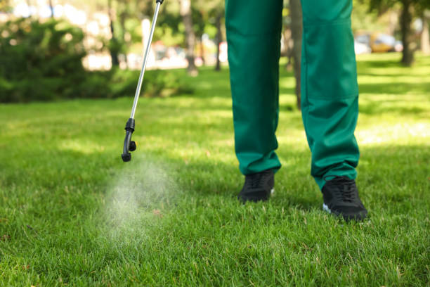 Best Emergency Pest Control  in Vinton, LA