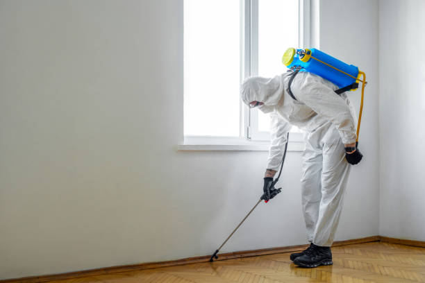 Wildlife Control Services in Vinton, LA