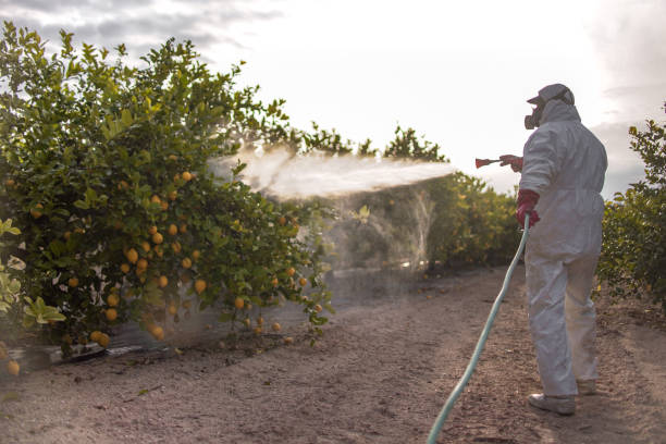 Best Residential Pest Control  in Vinton, LA