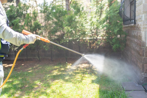 Best Best Pest Control Companies  in Vinton, LA