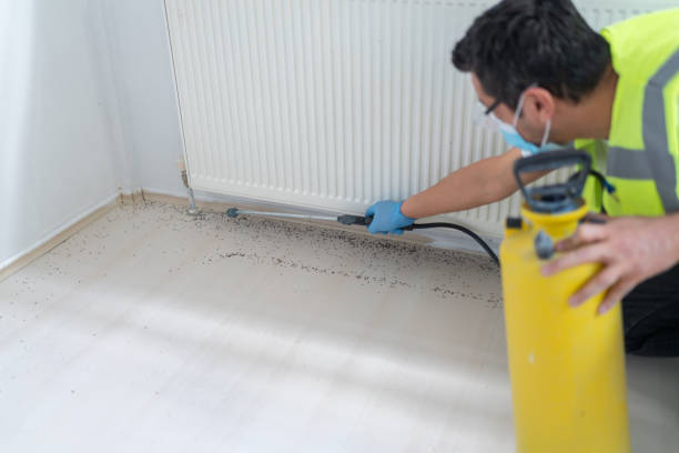 Best Pest Prevention Services  in Vinton, LA